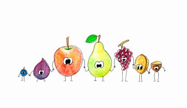 illustration aquarelle fruits